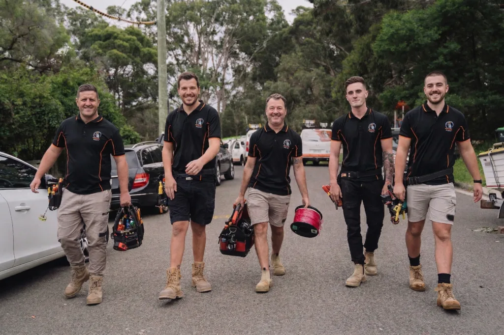 Professional electrical services in Woolooware